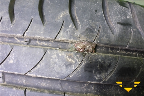 Шина  215/55 R16 (Лето) (MichelinEnergySaver) (MICHELINENERGYSAVER)