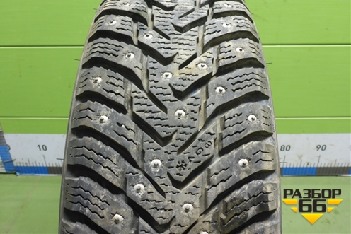 Шина  175/70 R14 (Зима Шипы) ( Nokian Nordman 8)