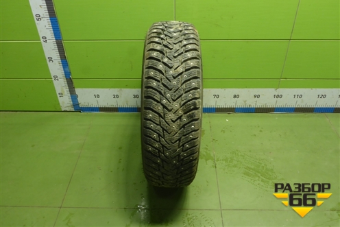 Шина  175/70 R14 (Зима Шипы) ( Nokian Nordman 8)