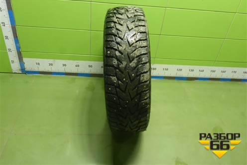 Шина  225/65 R17 (Зима Шипы) (NexenWinguardWinspikeWS62) (NEXENWINGUARDWINSPIKEWS62)