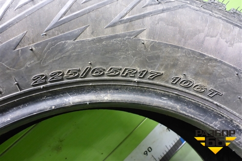 Шина  225/65 R17 (Зима Шипы) (NexenWinguardWinspikeWS62) (NEXENWINGUARDWINSPIKEWS62)