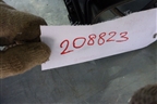 Усилитель торпедо для Volvo  TRUCK FM с 2001-2013г