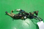 Проводка двери передней правой (24124EM00A) для Nissan Tiida (C11X) с 2004-2013г