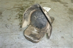 Кронштейн двигателя задний для Infiniti Infiniti M35/45 (Y50) с 2004-2009г