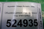 Обшивка двери задней левой под электрику для Hyundai Aсcent с 2000г
