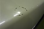Крышка багажника (в сборе) (H430M9W4AA) для Nissan Teana (J31) с 2003-2008г