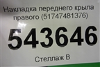 Накладка переднего крыла правого (51747481376) для BMW X6 G06 с 2019г