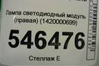 Лампа светодиодный модуль (правая) (1420000699) для Skoda Octavia (А8) с 2019г