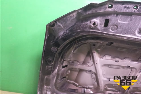 Капот (8402101XKV3AA) для Tank 500 с 2022-2025г
