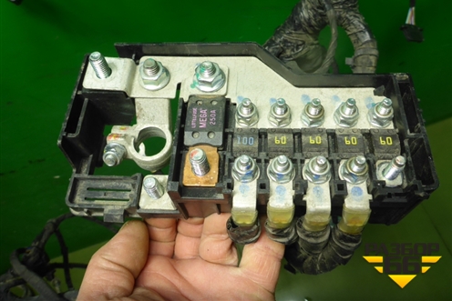Проводка подкапотная (4011132XKV3CA) для Tank 500 с 2022-2025г