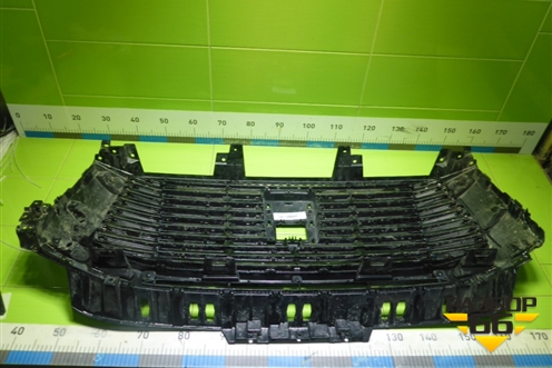 Решетка радиатора (5509100XKV3AA) для Tank 500 с 2022-2025г