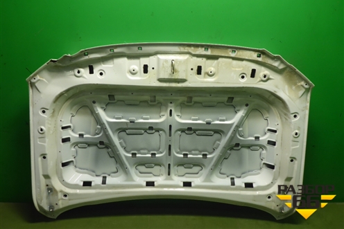 Капот (8402101XKV3AA) для Tank 500 с 2022-2025г