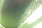 Бампер передний (9682966577) для Citroen Berlingo с 2008г