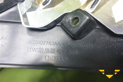 Решетка радиатора (602002763AA) для OMODA C5 с 2022г