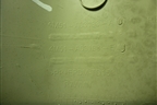 Обшивка стойки лобового стекла правая (4M51A03198EJW) для Ford Focus 2 с 2008-2011г (Фокус)
