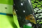 Решетка радиатора (623103KN0B) (под камеру) для Nissan Pathfinder (R52R) с 2012-2020г