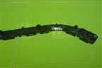 Кронштейн заднего бампера правый (5215560080) для Toyota Land Cruiser Prado(150) с 2009г (Ленд Крузер Прадо)