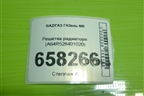 Решетка радиатора (A64R528401020) для GAZ ГАЗель NN (НН)