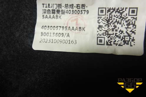 Обшивка двери задней правой под электрику (403005795AAABK) для Jaecoo J7 с 2023г (Джей7)