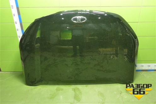 Капот (8402010U3480E) для Москвич 3 с 2022г