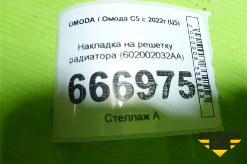 Накладка на решетку радиатора (602002032AA) для OMODA C5 с 2022г (Ц5)