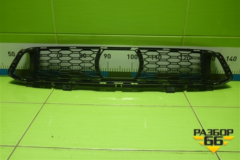 Решетка в передний бампер центральная (51118069706) для BMW 6-серия GT G32 с 2017г