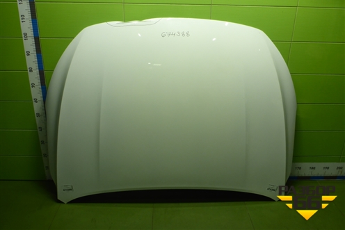 Капот (5032066300C15) для Geely Emgrand 7 (SS11) с 2021г (Эмгранд)