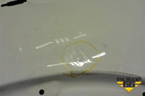 Дверь задняя правая (509000768ABDYJ) для Exeed TXL с 2020-2024г (ТХЛ)