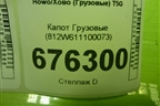 Капот  (812W611100073) для Howo T5G