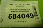 Решетка радиатора (под камеру) (6600064666) для Geely Atlas Pro с 2019г (Атлас Про)